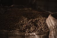 Brown and Black Leopard Textile