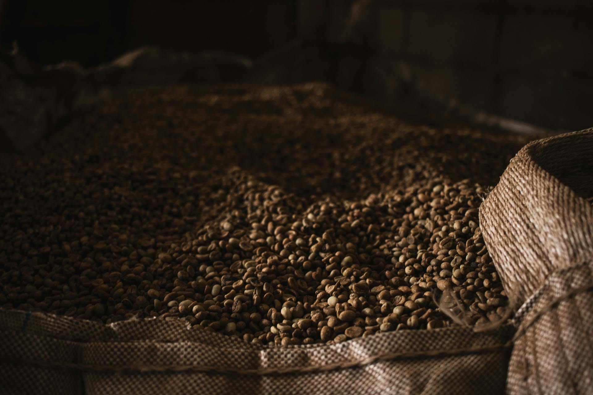 Dark moody shot of raw coffee beans overflowing from a burlap sack, highlighting texture.