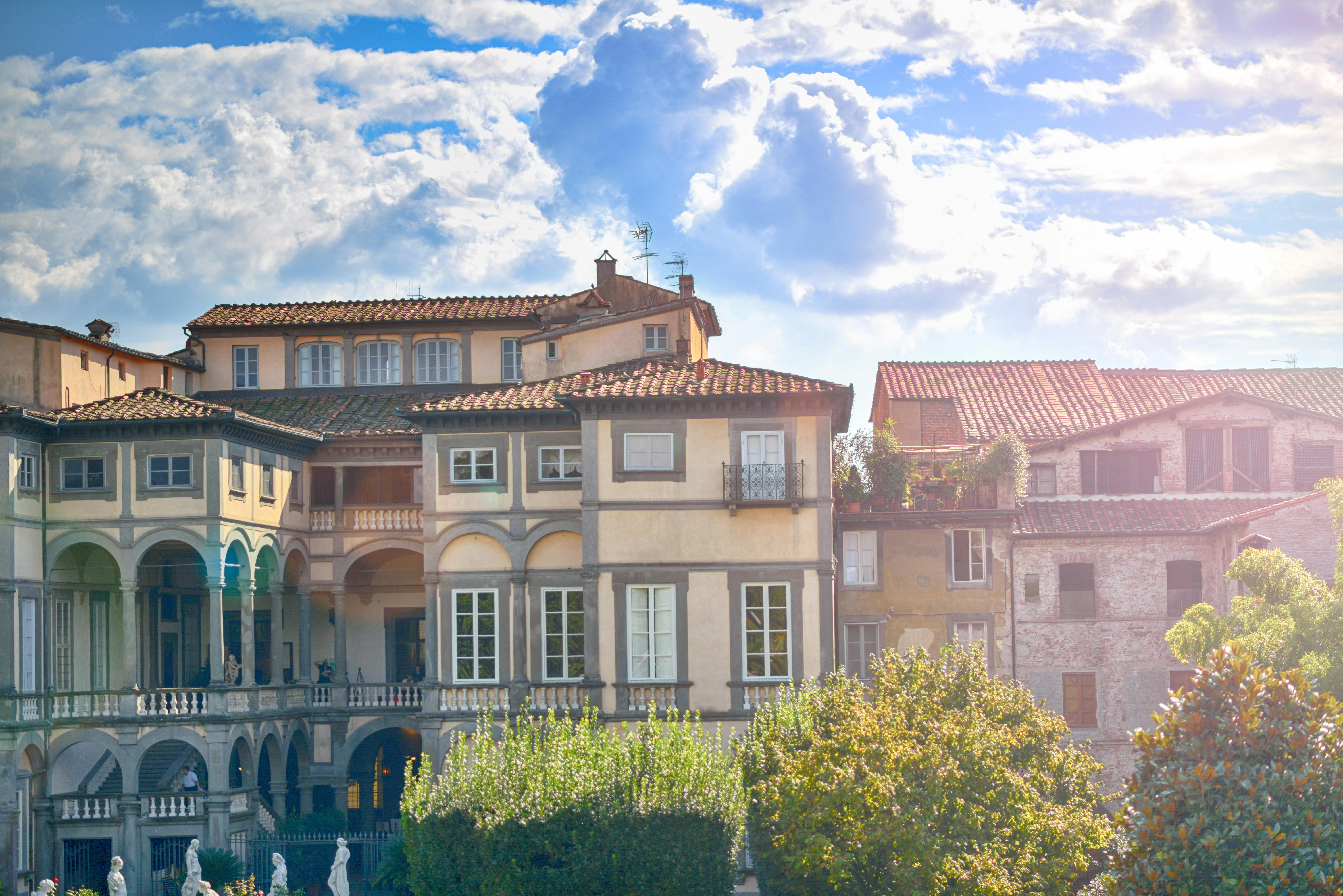 Concrete Houses Surrounded Trees Free Stock Photo Free