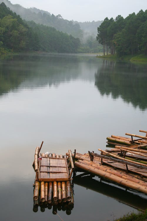 Brown Wooden Dock on Lake