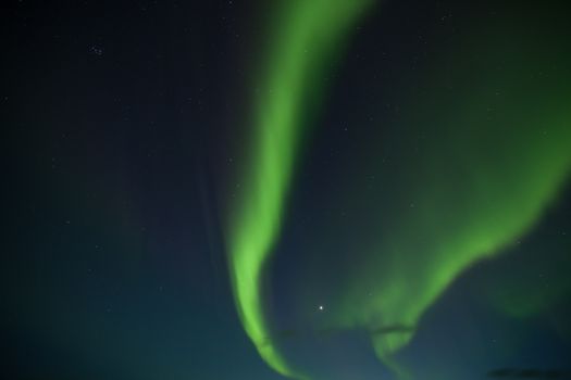 Captivating aurora borealis display in Hvammstangi, Iceland's star-filled night sky.