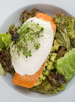 Fresh salmon salad with avocado, lettuce, and a creamy dressing. Perfect for a healthy lunch.