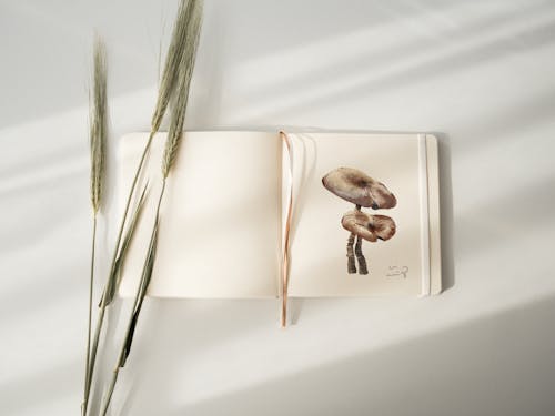 Notebook with Mushroom Illustration