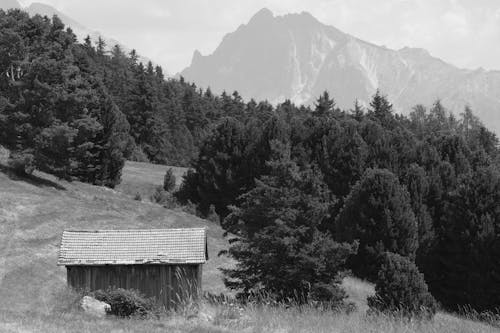 Grayscale Photo of Wooden House Near Trees and Mountain