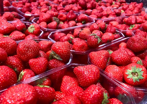 Gratis lagerfoto af aardbeien, markt, rood