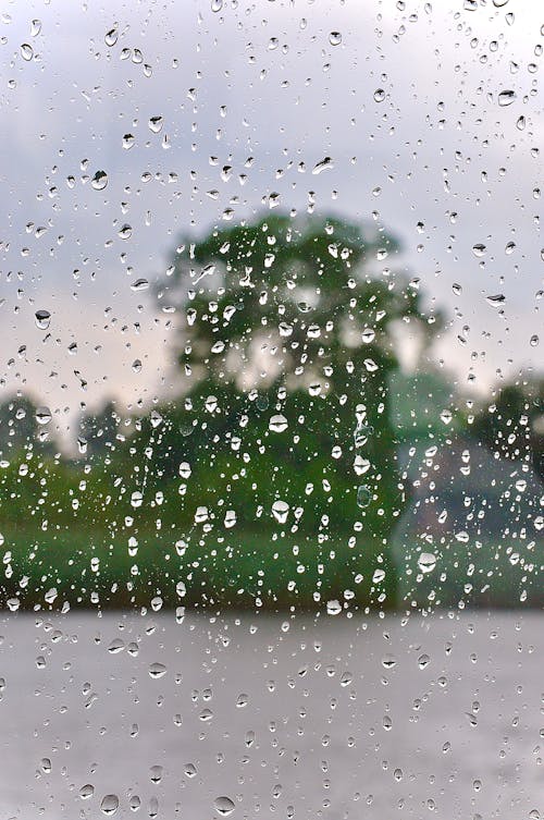 Kostenloses Stock Foto zu druppels, raam, regen