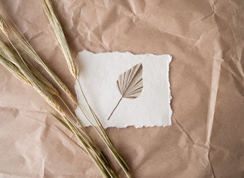 boho tarzı, boya, branda içeren Ücretsiz stok fotoğraf