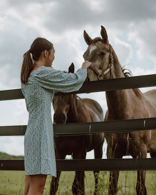 Woman in Blue Dress Standing Beside Brown Horse