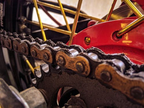 Closeup of bicycle transmission system with metal chain on hydraulic disk brake on wheel