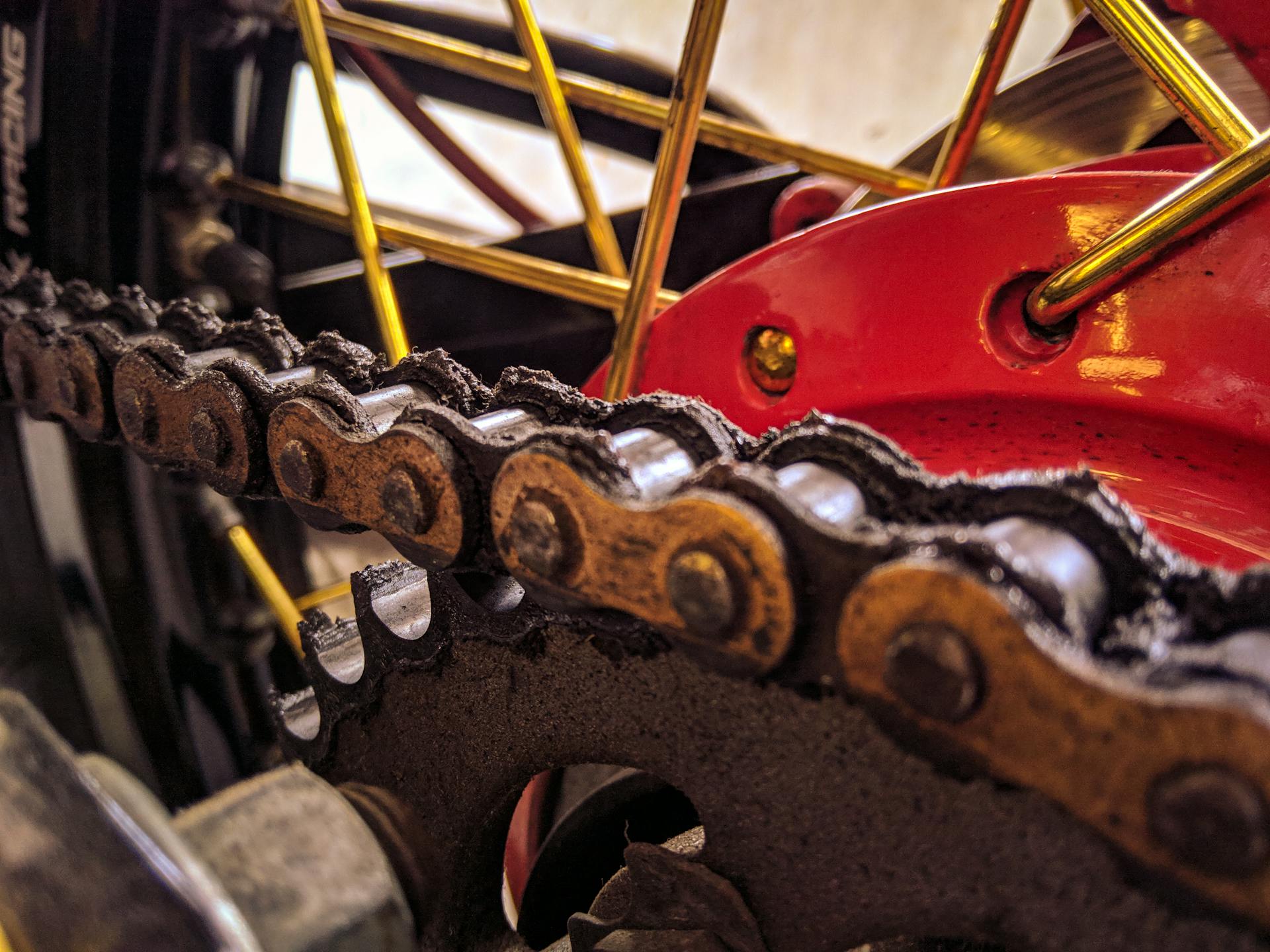 Closeup of bicycle transmission system with metal chain on hydraulic disk brake on wheel