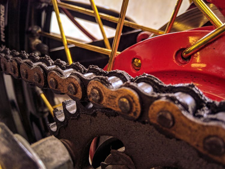 Details Of Bike Chain And Wheel