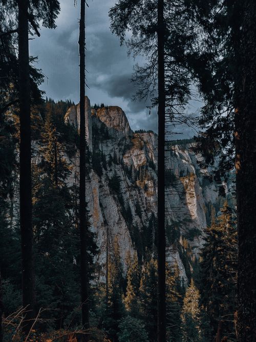 Free Picturesque scenery of rough rocky mountain with green plants over lush coniferous forest Stock Photo
