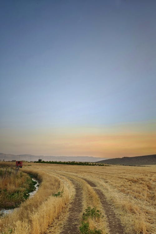 Fotos de stock gratuitas de agricultura, camino de tierra, campo