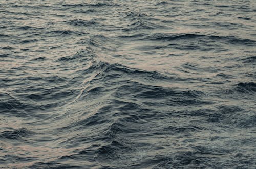 Bezpłatne Darmowe zdjęcie z galerii z morze, natura, ocean Zdjęcie z galerii