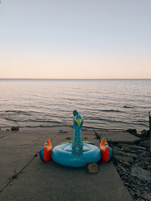 Free Colorful water wing on stone coast of ocean under clear sky at sundown Stock Photo