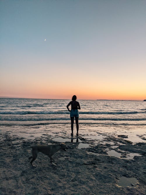 Full body of unrecognizable female standing with domestic dog and looking on bright sunset over calm ocean water