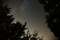 树木的轮廓勾勒出银河系，星空景色迷人