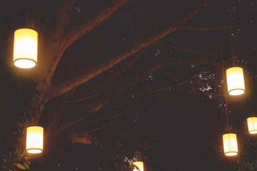 Brown Lantern Hanging on Tree