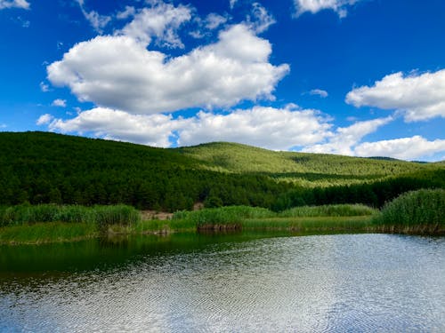 Green Mountain Near Lake Under Blue and White Cloudy Sky