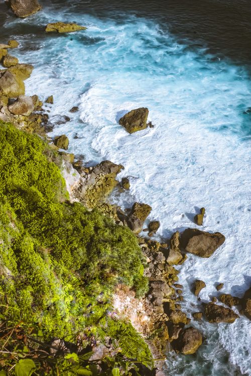 Free From above scenery of fast foamy stream splashing along rough stony terrain with lush greenery in daylight Stock Photo