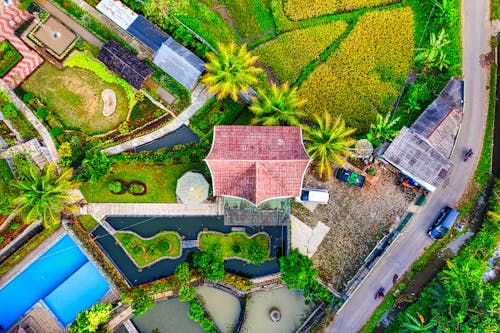 Free Aerial View of Red Roof Surrounded by Green Trees Stock Photo
