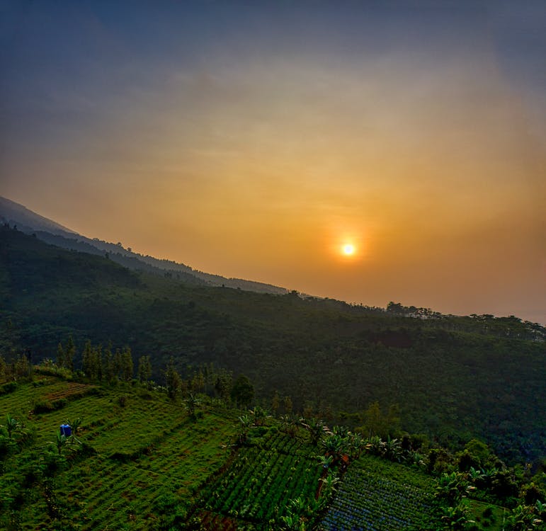 Free Sunset at a Farmland Stock Photo