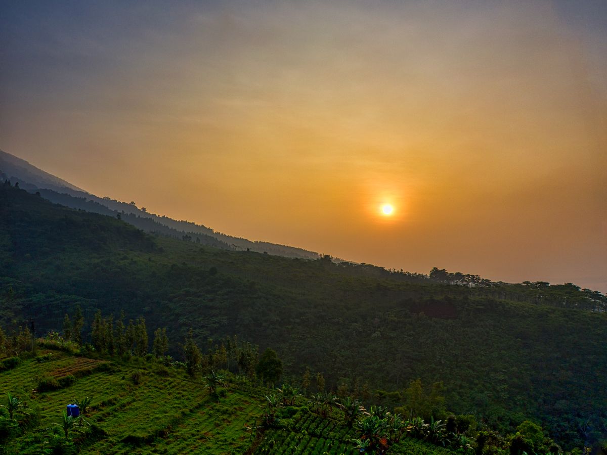 8 Day Private or Group Yoga and Safari Retreat in Kampala, Uganda 1