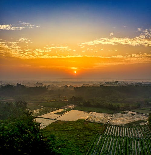 Základová fotografie zdarma na téma farma, hřiště, indonésie