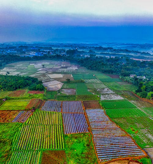 Foto profissional grátis de aéreo, aerofotografia, agricultura