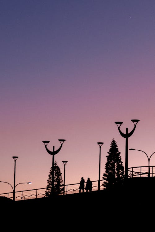 Silhouette of Street Lamps During Sunset