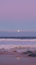 黄昏时分，在宁静的悉尼海滩，月亮从地平线上升起，映出粉红与紫色的色调