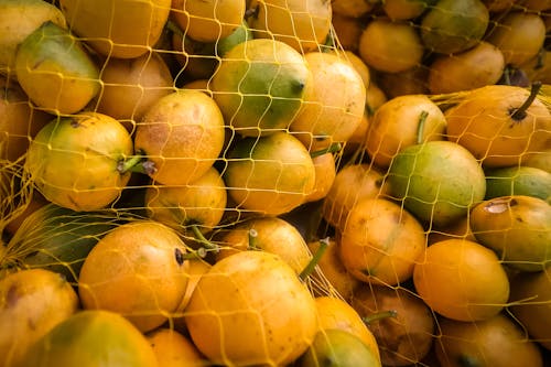 Bunches of Passion Fruits in a Nets