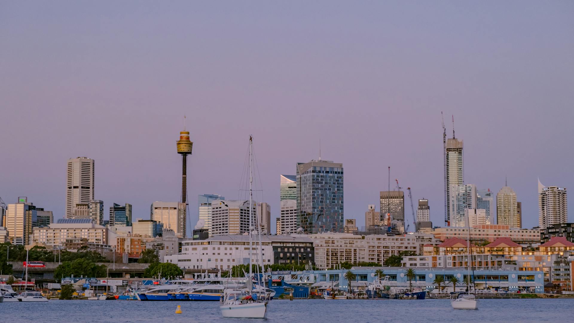Scenic view of Sydney skyline at twilight with skyscrapers and boats on the harbor.