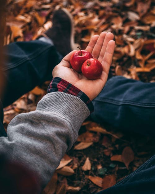 Person Holding Red Apple Fruits