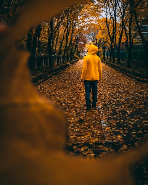 Person in Yellow Hoodie Standing on Brown Dry Leaves on Pathway