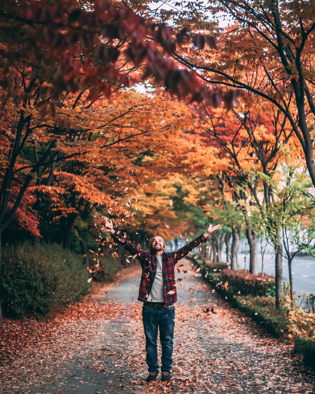 Man Standing on Pathway Between Trees · Free Stock Photo