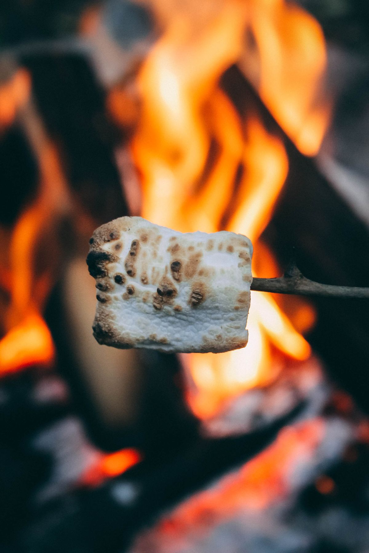 Toasted marshmallow over the fire