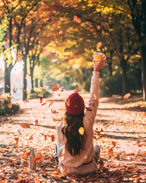 Kostenloses Stock Foto zu bürgersteig, freizeit, herbst