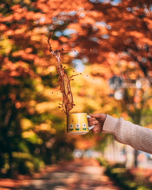 Kostenloses Stock Foto zu becher, getränk, herbst