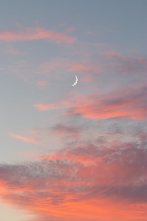 From below of bright crescent in blue sky with fluffy clouds in light of evening sunset