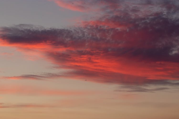 Fluffy Dark Clouds Lighted With Evening Sun