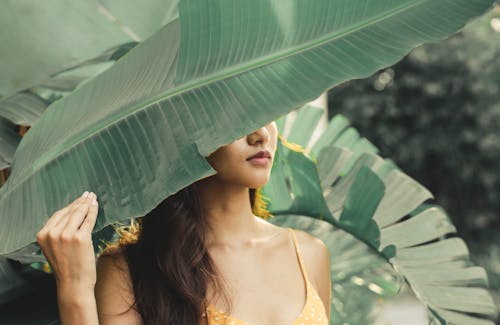 Free Anonymous female covering half face with giant leaf of tropical plant while standing in garden with blurred background in summer Stock Photo