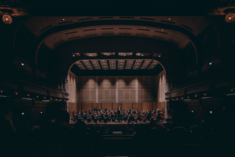 Orchestra Performing On Stage