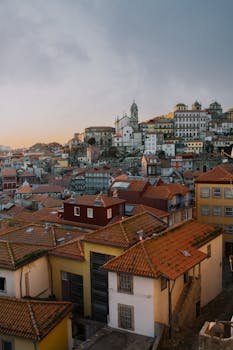 从空中俯瞰波尔图历史区，可见红瓦屋顶和标志性建筑