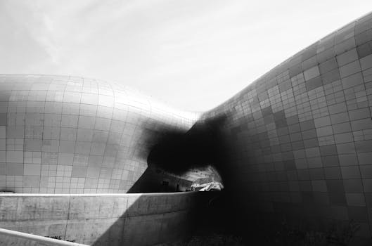 Black and white image of the Dongdaemun Design Plaza's modern facade in Seoul, South Korea.