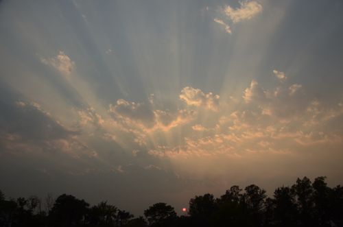 Free stock photo of dawn, dusk, forest sunset Stock Photo