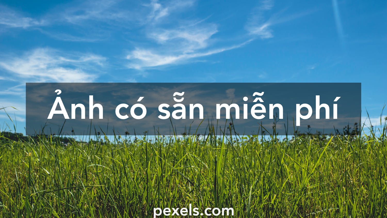 Hình ảnh bầu trời xanh đẹp miễn phí?