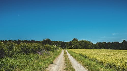 Straße Zwischen Grasland