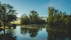 宁静的早晨，湖水静谧，四周环绕着郁郁葱葱的树木，倒映在平静的水中