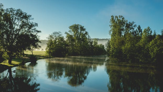 宁静的早晨，郁郁葱葱的树木环绕着静谧的湖泊，倒映在平静的水面上